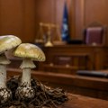 „Убица са печуркама“ тражи поништавање пресуде: Тврди да је правда заказала