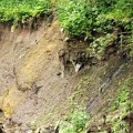 Ogromne štete od nevremena u Ivanjici – U obilasku terena i predstavnici JVP “Srbijavode“ (VIDEO)