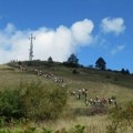 Planinarski savez Srbije sutra organizuje Dan pešačenja
