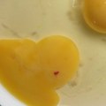 Žumance ponekad ima crvenu mrlju: Da li je takvo jaje bezbedno za jelo?