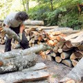 Cene ogreva na stovarištima niže za 12 odsto u odnosu na prošlu godinu