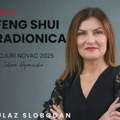 NAJAVA: Feng šui radionica „Pojuri novac u 2025“ u Kulturnom centru Zrenjanina Kulturni centar Zrenjanina