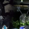 Pronađena laboratorija za uzgoj marihuane i zaplenjen kokain