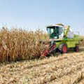 Zabeležen rast cena na produktnoj berzi! Soja, ječam i kukuruz znatno skuplji, ovo su tačne cene