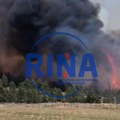 Gori šest hektara borove šume, vetar nosi vatru ka Tometinom polju: Na licu mesta vatrogasci iz nekoliko gradova, radi se…