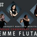 „Zvuci skrivenog sveta” u Stopića pećini