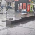 Kiša lije, on radi sklekove na ulici: Beograđanin šokirao prolaznike tokom pljuska