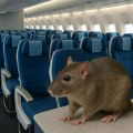 Pacov u avionu KLM-a primorao kompaniju da otkaže povratni let sa Kariba
