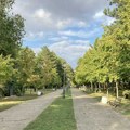 (Foto) Karađorđev park dobija novo zeleno ruho: Druga faza radova donosi više hlada i lepši ambijent