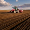 Вредност све већа, а све их је мање: Ово је и даље једна од најсигурнијих инвестиција у Србији