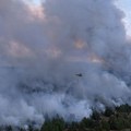 Operativni tim: Juče na teritoriji Srbije 178 požara, danas glavni fokus na Deliblatskoj peščari