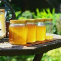 Iz pogona za prikupljanje i plasman meda u Rači u Kinu izvezeno 2,3 tone meda