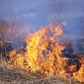 Prvomajski izletnici izazvali požar na zobnatičkom jezeru: Gust crni dim i plamen kuljaju u nebo, vatrogasci na licu mesta…