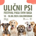 ”Ulični psi” – Festival pasa svih rasa na Kalemegdanu