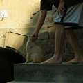 O kolateralnoj šteti