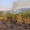 Lokalizovan požar kod Donjeg Vlasa, pričinjena velika materijalna šteta