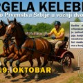 Prvenstvo Srbije u vožnji dvoprega na Ergeli Kelebija (17-19. oktobar)
