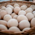Navala na jaja u Nemačkoj: Svaki Nemac je 2024. u proseku pojeo po 249 jaja, čime je oboren rekord u potrošnji