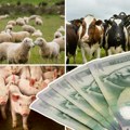 Cene stoke opet se menjaju: Za tele čak 1.100 dinara, a evo koliko koštaju prasad i jagnjad