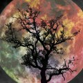 Pun mesec u Strelcu donosi pozitivne preokrete: Prognoze za svaki znak Zodijaka