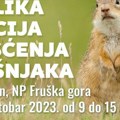 Pomoć ugroženim tekunicama: DZPPS i np „Frruška gora“ 28. oktobra organizuju čišćenje zaraslih pašnjaka kod Neradina