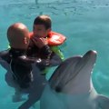 "Posle terapije sa delfinima, progovorio sa majkom!" Neverovatna svedočanstva posle sesija, predsednik Vučić je najavio da…