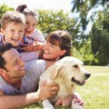 Ovo su 5 najpametnijih rasa pasa na svetu: Veterinrka otkrila njihove fascinantne sposobnosti i šta sve mogu da osete