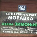 Kako opstaju mala domaćinstava u Dragačevu: Porodica Zimonjić iz Rasovca obnavlja uzgoj moravke