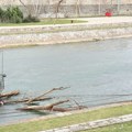 Telo za sada nepoznatog muškarca pronađeno u Nišavi kod mosta u centru Niša