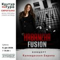 U Sirogojnu kamerni orkestar „Habanera fusion“