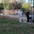 Uhapšen pucač iz Kragujevca: Teško ranio čoveka nakon masovne tuče, policija i dalje na terenu!