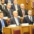 Lider Nove srpske demokratije Andrija Mandić izabran za predsednika Skupštine Crne Gore