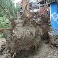 Nevreme koje čupa drveće na putu ka Srbiji! Oluja zahvatila Hrvatsku, meteoalarm na snazi za celu zemlju