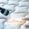 Vaši kreveti nisu prvi koje su napale: Stenice su možda bile prve urbane štetočine u ljudskoj istoriji