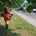 Redovno uređenje javnih površina