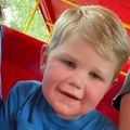 Dečaka (2) napao roj osa, otkazali mu vitalni organi: Telo nije moglo da podnese količinu toksina u sistemu