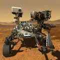 Rover svemirske agencije NASA na Marsu fotografisao kamen oblika korala