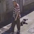 Uznemirujući snimak iz Medaka kruži mrežama! Pas u šetnji kolabirao, vlasnik ga vukao po asfaltu