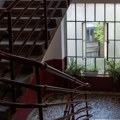 Srbin u sopstvenom stanu osetio da mu se nešto mota oko nogu - spustio je pogled, ugledao ovo i doživeo šok: "Jeza mi je…