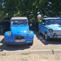 Nesvakidašnji prizor u Vranju! Stiglo 120 lepotana na četiri točka, a Rade iz Paraćina otkriva tajnu svog "forda" starog 67…