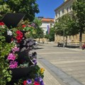 I danas sunčano i velika vrućina!