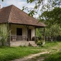 Mislila je da će na selu pronaći mir, a onda shvatila surovu istinu: "Svakog dana smo se suočavali sa tim"