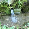 Voda za piće bezbedna za upotrebu na dve javne česme u Kragujevcu