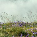 Nakon sunčanog i toplog vremena meteorolozi najavljuju kišu i nepogode