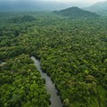 Požari u brazilskoj Amazoniji na najnižem nivou u poslednjih 40 godina
