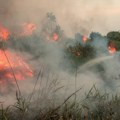 U Indoneziji uhapšene 72 osobe osumnjičene da su izazvale požare na otvorenom