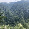 Prošle godine manje štete u srpskim šumama