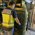 Srpski dileri uzgajali marihuanu u kući na plaži: Španska policija upala u laboratorije, među uhapšenima i jedna žena