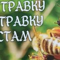 U Dečjem kulturnom centru biće predstavljena nova knjiga „Da travku uz travku vrstam“ Radmile Šehić