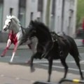 Konj umazan krvlju juri ulicama! Drama u Londonu: Odbegli konji zbacili jahače pa izazvali haos